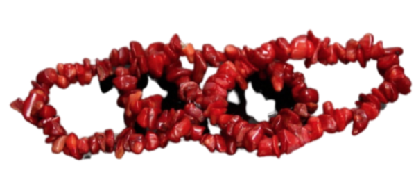 Bambu Vermelho, pulseira chip