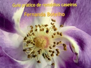 As Plantas e a Saúde
