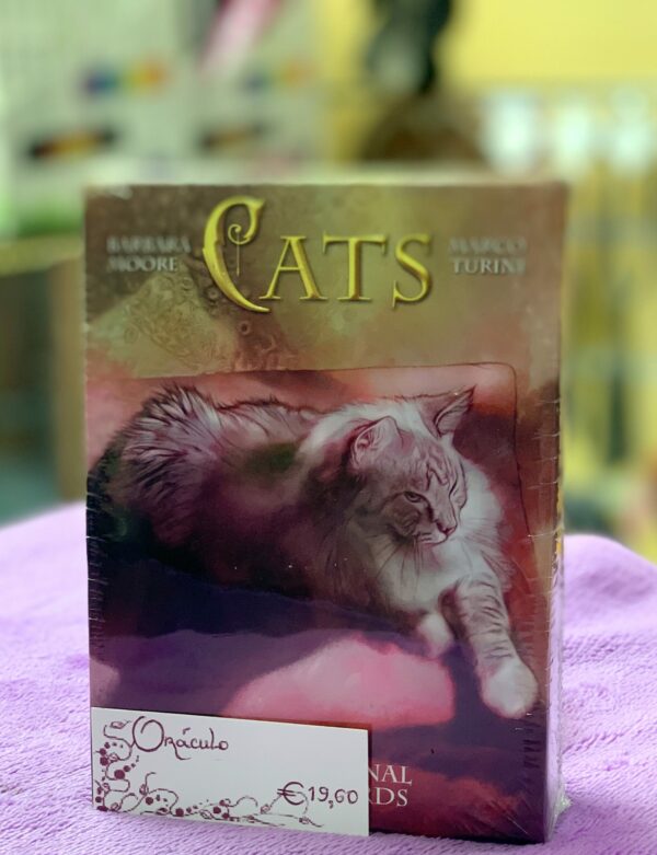 Oráculo Cats