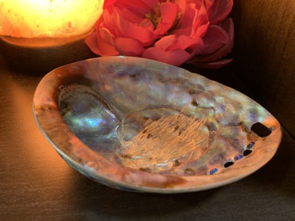 Concha Abalone 17x13cm