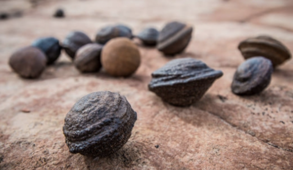 Pedra Boji, 20-30mm, bolsa com 100gr