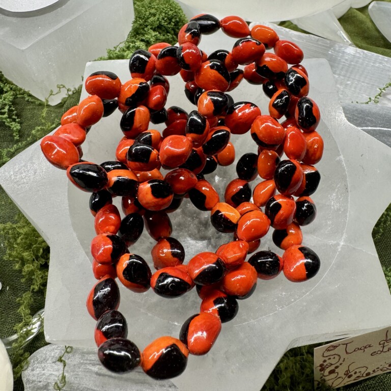 Guia de Sementes de Olho de Cabra – Amuleto de Proteção e Boa Sorte